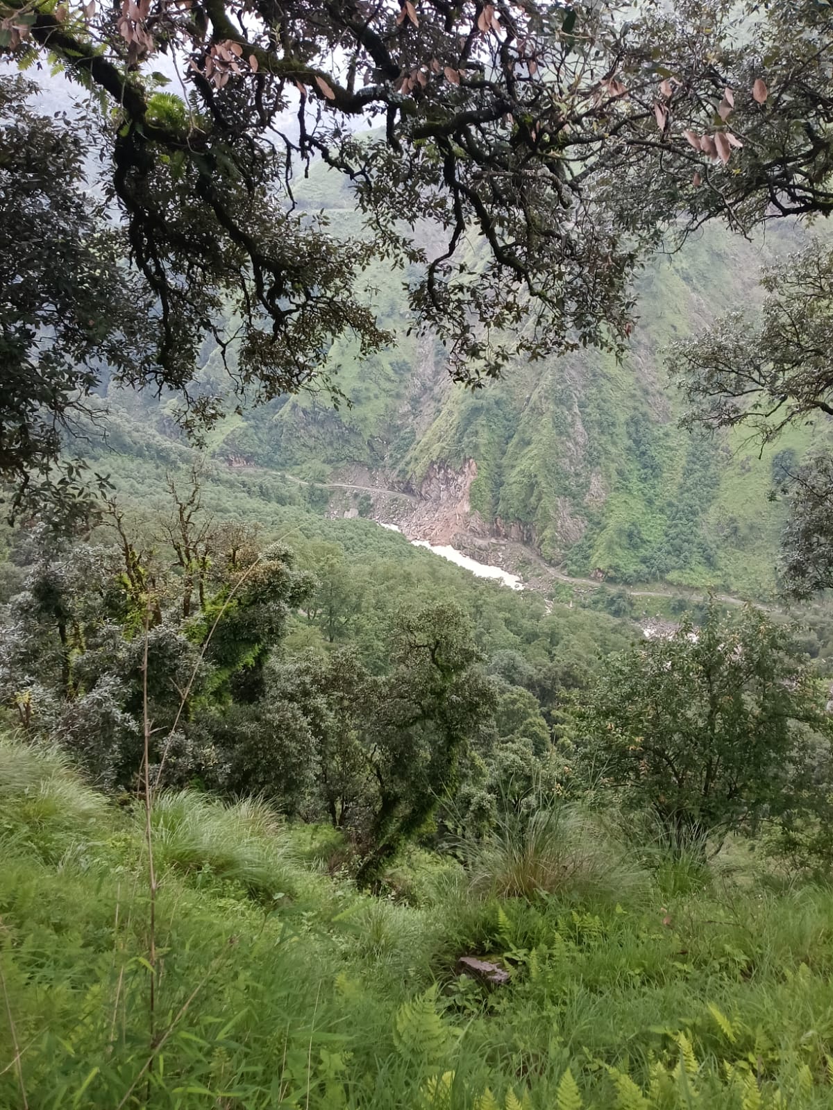 पिथौरागढ़ मुनस्यारी के पास पहाड़ी का बड़ा हिस्सा टूटा मुनस्यारी मिलम घाटी का संपर्क टूटा